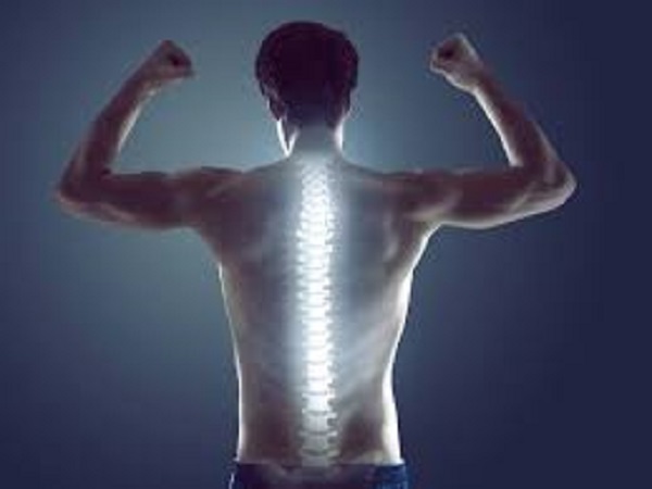 ನಿಮ್ಮ ಬೆನ್ನು ಹುರಿಯನ್ನು ಆರೋಗ್ಯವಾಗಿಟ್ಟುಕೊಳ್ಳಲು ಟಿಪ್ಸ್