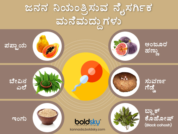 ಗಿಡಮೂಲಿಕೆಗಳಿಂದ ನೈಸರ್ಗಿಕ ಗರ್ಭ ನಿರೋಧಕ ಕ್ರಮ