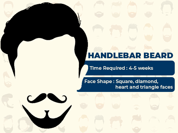 19. ಹ್ಯಾಂಡಲ್‌ಬಾರ್ ಗಡ್ಡ