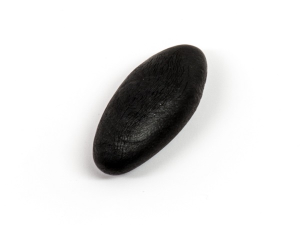 2. ಶಿಲಜಿತ್