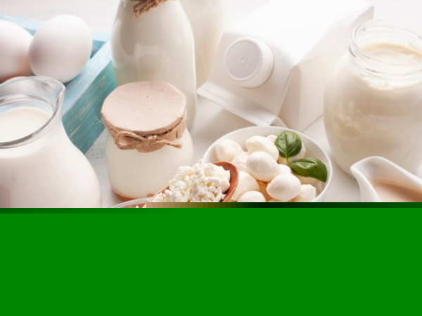 ಹಾಲಿನ ಉತ್ಪನ್ನಗಳು