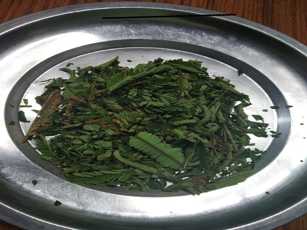 Soap Nut Acacia Leaf Recipe