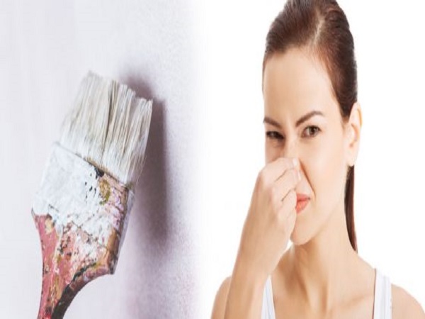 ಗೋಡೆಗಳಿಗೆ ಬಳಸುವ ಪೇಯಿಂಟ್