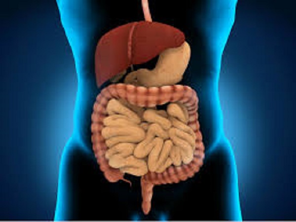 1) ಜೀರ್ಣಕ್ರಿಯೆಗೆ ಸಹಕಾರಿ