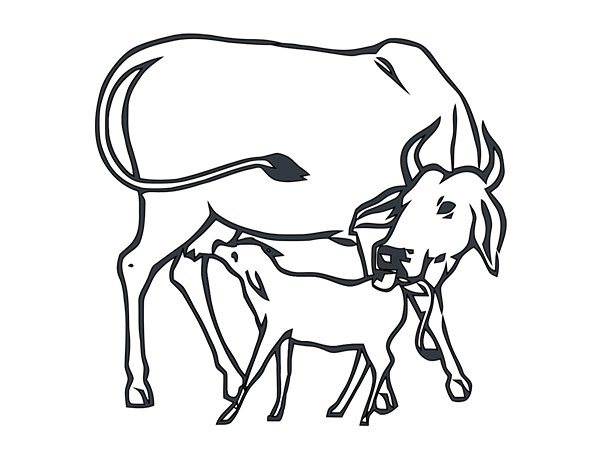 ಕಾಮಧೇನು ಹಸುವಿನ ವಿಗ್ರಹ