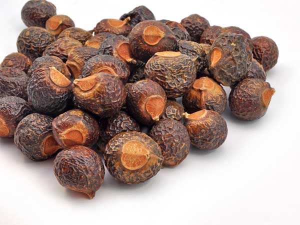 ಅಡಿಕೆ ಅಡಿಕೆ