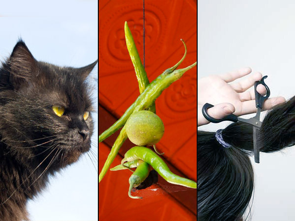 ಈ ಮೂಢ ನಂಬಿಕೆಗಳ ಹಿಂದಿರುವ ವೈಜ್ಞಾನಿಕ ಸತ್ಯಗಳು | Scientific Truth Behind  Superstitious Belief - Kannada BoldSky