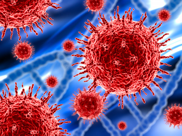 2. SARS-CoV (ಸಾರ್ಸ್-Cov)