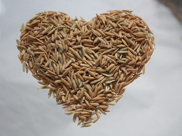 6. ಮಧುಮೇಹಿಗಳಿಗೆ