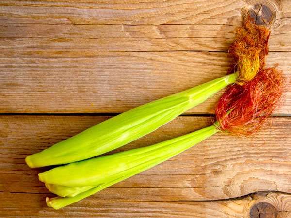 ಜೋಳದ ಜುಟ್ಟಿನ ಚಹಾ ಮಾಡುವುದು ಹೇಗೆ