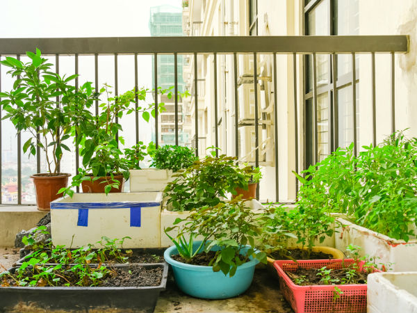 4. ಸುತ್ತಲಿನ ವಾತಾವರಣ ಹಸಿರಾಗಿಸಿ: 