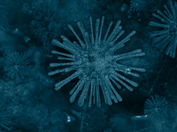 ವಿಟಮಿನ್ ಸಿ ಮತ್ತು ಸಾರ್ಸ್-COv