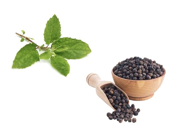 2. ತುಳಸಿ ಮತ್ತು ಕಾಳು ಮೆಣಸು 2. ತುಳಸಿ ಮತ್ತು ಕಾಳು ಮೆಣಸು