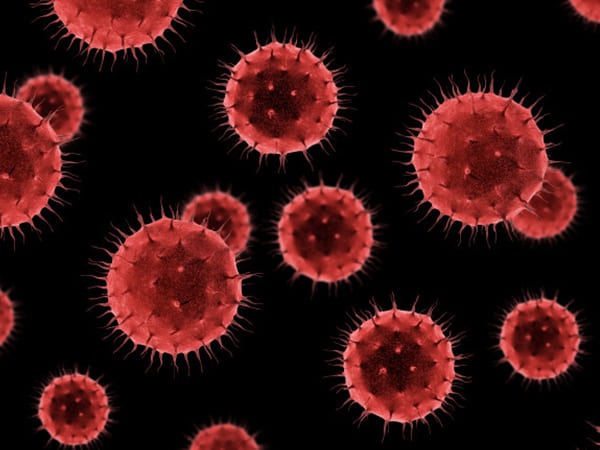 ಇನ್ನೂ ಮನುಷ್ಯನಿಗೆ ಈ ಔಷಧಿ ನೀಡಿಲ್ಲ