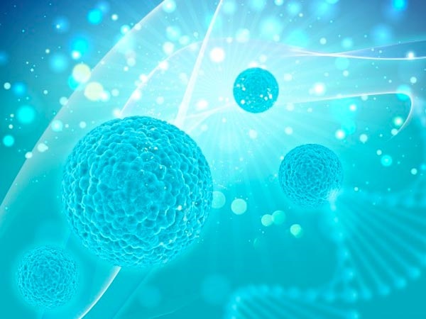 ಇತರ ದೇಶಗಳಲ್ಲಿ ಈ ಪರೀಕ್ಷೆ ಯಶಸ್ವಿಯಾಗಿದೆಯೇ?