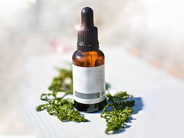 5, ಸೈಪ್ರೆಸ್(cypress oil) ಎಣ್ಣೆ 5, ಸೈಪ್ರೆಸ್(cypress oil) ಎಣ್ಣೆ