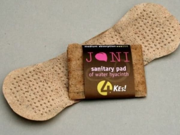  8.ವಾಟರ್‌ ಹೈಯಾಸಿನತ್ ಪ್ಯಾಡ್‌