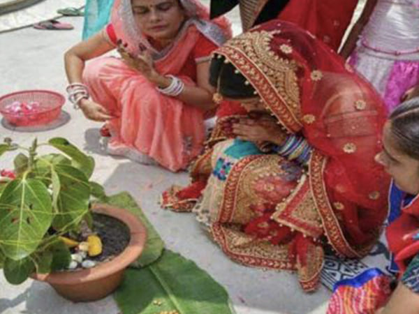 ವಟ ಸಾವಿತ್ರಿ ವ್ರತ ಆಚರಣೆ ಹೇಗೆ?