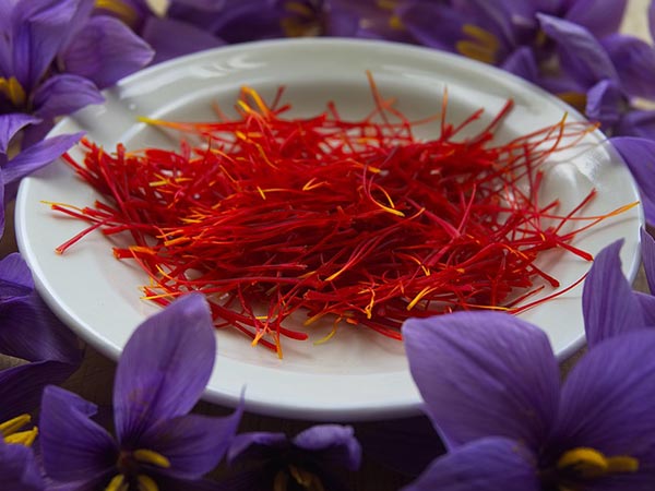 ಕೇಸರಿ ಪುಡಿಯನ್ನು ಖರೀದಿ ಮಾಡುವುದು ಸರಿಯೇ?