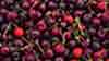 cherries