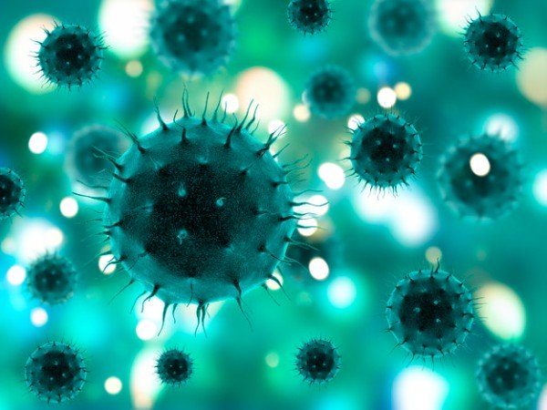  ಬ್ಲ್ಯಾಕ್ ಡೆತ್ ಎಂದು ಕರೆಯಲ್ಪಡುವ ಪ್ಲೇಗ್ ಎಂಬ ಮಹಾಮಾರಿ