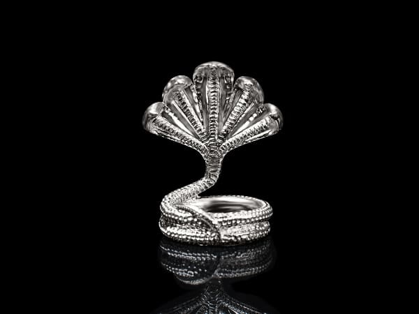 ಬೆಳ್ಳಿಯ ಜೋಡಿ ಸರ್ಪ