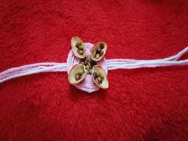  ಮಾಡುವ ವಿಧಾನ