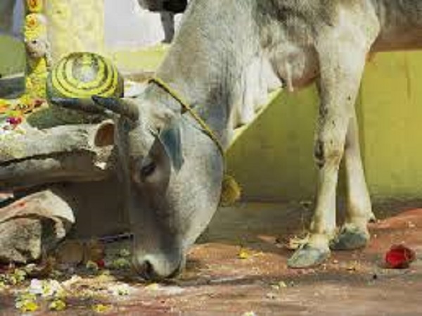 ಪಿಂಡ ಮಾಡುವುದು ಹೇಗೆ?