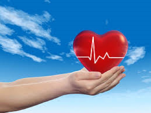 4 ವಾಲ್ನಟ್ ಗಳನ್ನು ಹೃದಯದ ಸ್ನೇಹಿತ ಎನ್ನುವರು