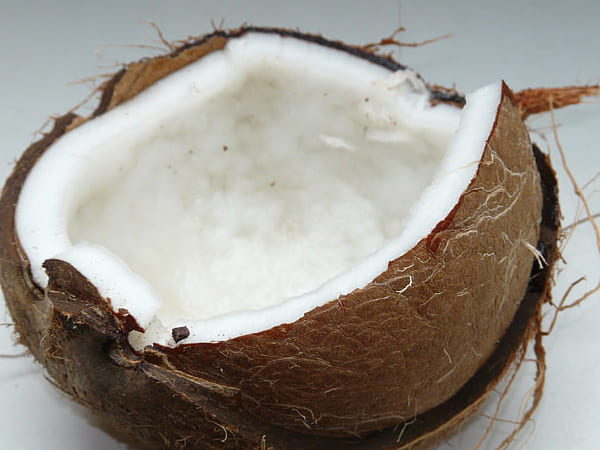 ರೋಗ ನಿರೋಧಕ ಶಕ್ತಿಯೂ ಹೆಚ್ಚುವುದು