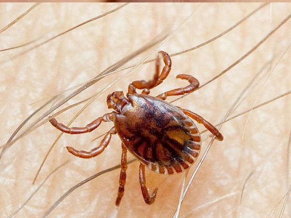  ಇನ್ನು ಪರೀಕ್ಷೆ ಮಾಡಿಸಿದಾಗ