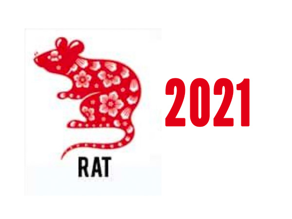 ಇಲಿ ತಮ್ಮ ರಾಶಿ ಪ್ರಾಣಿಯಾಗಿರುವವರ ಭವಿಷ್ಯ