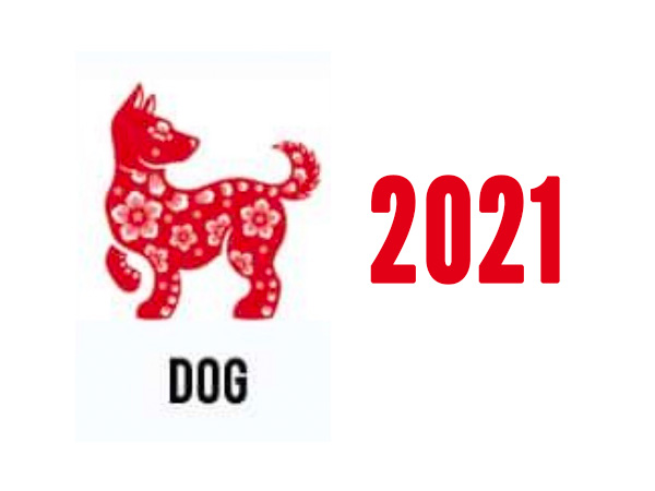  ನಾಯಿ ತಮ್ಮ ರಾಶಿ ಪ್ರಾಣಿಯಾಗಿರುವವರ ಭವಿಷ್ಯ