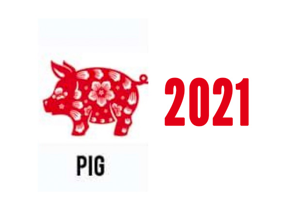  ಹಂದಿ ತಮ್ಮ ರಾಶಿ ಪ್ರಾಣಿಯಾಗಿರುವವರ ಭವಿಷ್ಯ