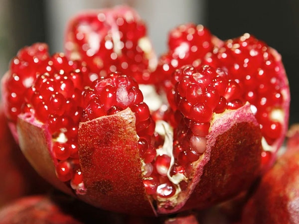 ಗ್ರೀಸ್: ದಾಳಿಂಬೆ ಹಣ್ಣುಗಳನ್ನ ನುಚ್ಚುನೂರಾಗಿಸುವುದು