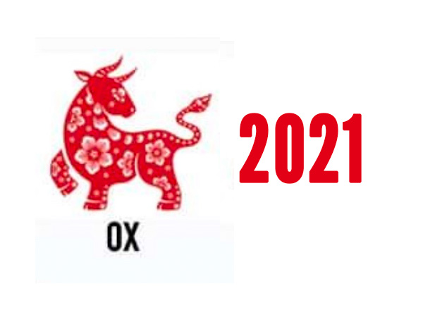 ಗೂಳಿ ತಮ್ಮ ರಾಶಿ ಪ್ರಾಣಿಯಾಗಿರುವವರ ಭವಿಷ್ಯ