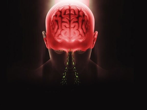 ಈ ಅಮೀಬಾ ಇರುವ ನೀರು ಕುಡಿಯುವುದರಿಂದ ಬರುತ್ತದೆಯೇ?