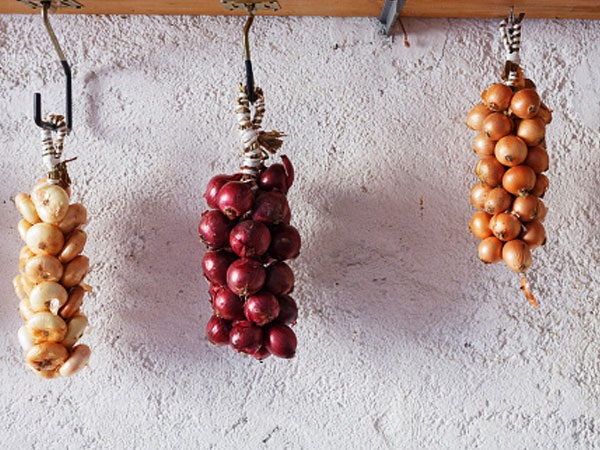 ಗ್ರೀಸ್: ನೀರುಳ್ಳಿಗಳನ್ನ ನೇತು ಹಾಕುವುದು