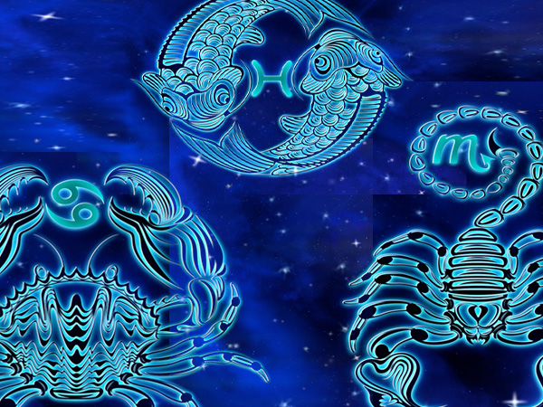 ಕರ್ಕ-ವೃಶ್ಚಿಕ