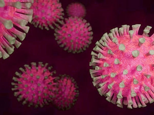 ಭಾರತೀಯರು ಅತೀ ಹೆಚ್ಚು ಗೂಗಲ್ ಮಾಡಿರುವ ಸಂಗತಿಗಳು