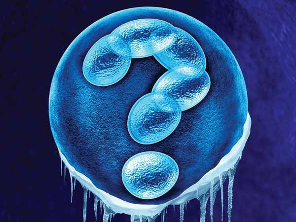 ಅಂಡಾಣು ಶೈತ್ಯೀಕರಣದ ಅಡ್ಡಪರಿಣಾಮಗಳು: