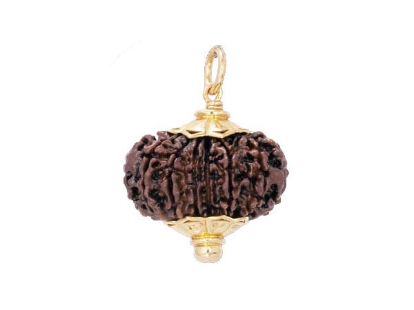  ರುದ್ರಾಕ್ಷಿಯನ್ನು ಸ್ವಚ್ಛ ಮಾಡುವುದು ಹೇಗೆ?