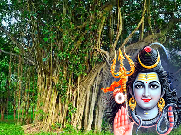 ಬಿಲ್ವಾ ಪತ್ರೆ: