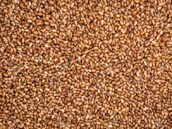 ನೈಸರ್ಗಿಕವಾಗಿಯೇ ಗ್ಲುಟೆನ್-ಮುಕ್ತವಾಗಿದೆ