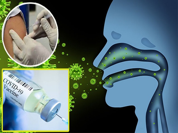 ಲಸಿಕೆಯ ಬೆಲೆಯೆಷ್ಟು