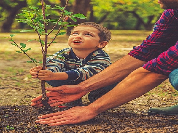 ಗಿಡ ನೆಡುವುದು: