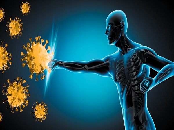 ಪ್ರತಿಕಾಯಗಳು ಯಾವುವು?