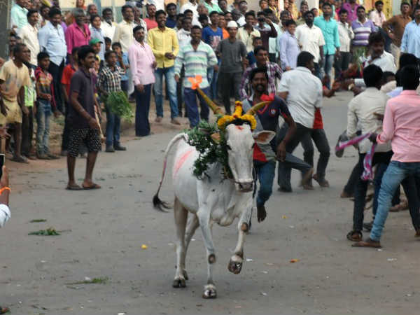 ಊರಿನವರ ಸಂಭ್ರಮ ಹೆಚ್ಚಿಸುವ ಹಬ್ಬ