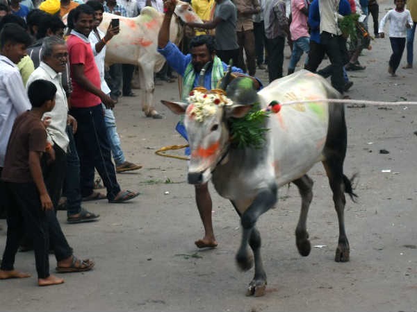 ಕಾರ ಹುಣ್ಣಿಮೆ ಮಹತ್ವ