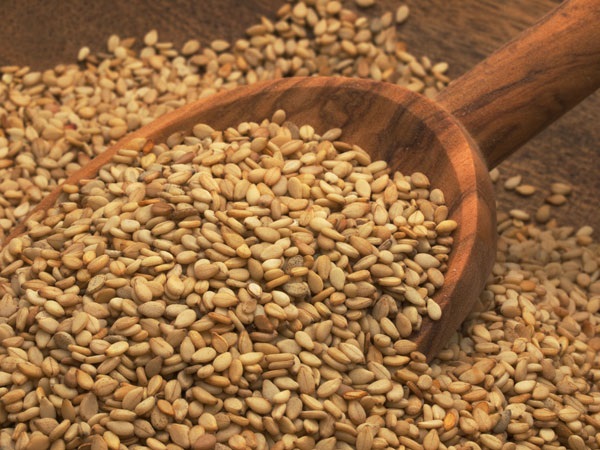 ಕಪ್ಪು ನಾಯಿಗೆ ಆಹಾರ ನೋಡಿ ಕಪ್ಪು ನಾಯಿಗೆ ಆಹಾರ ನೋಡಿ